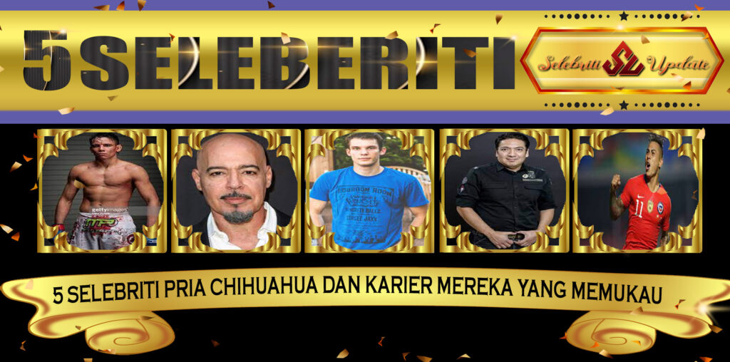 5 Selebriti Pria Chihuahua