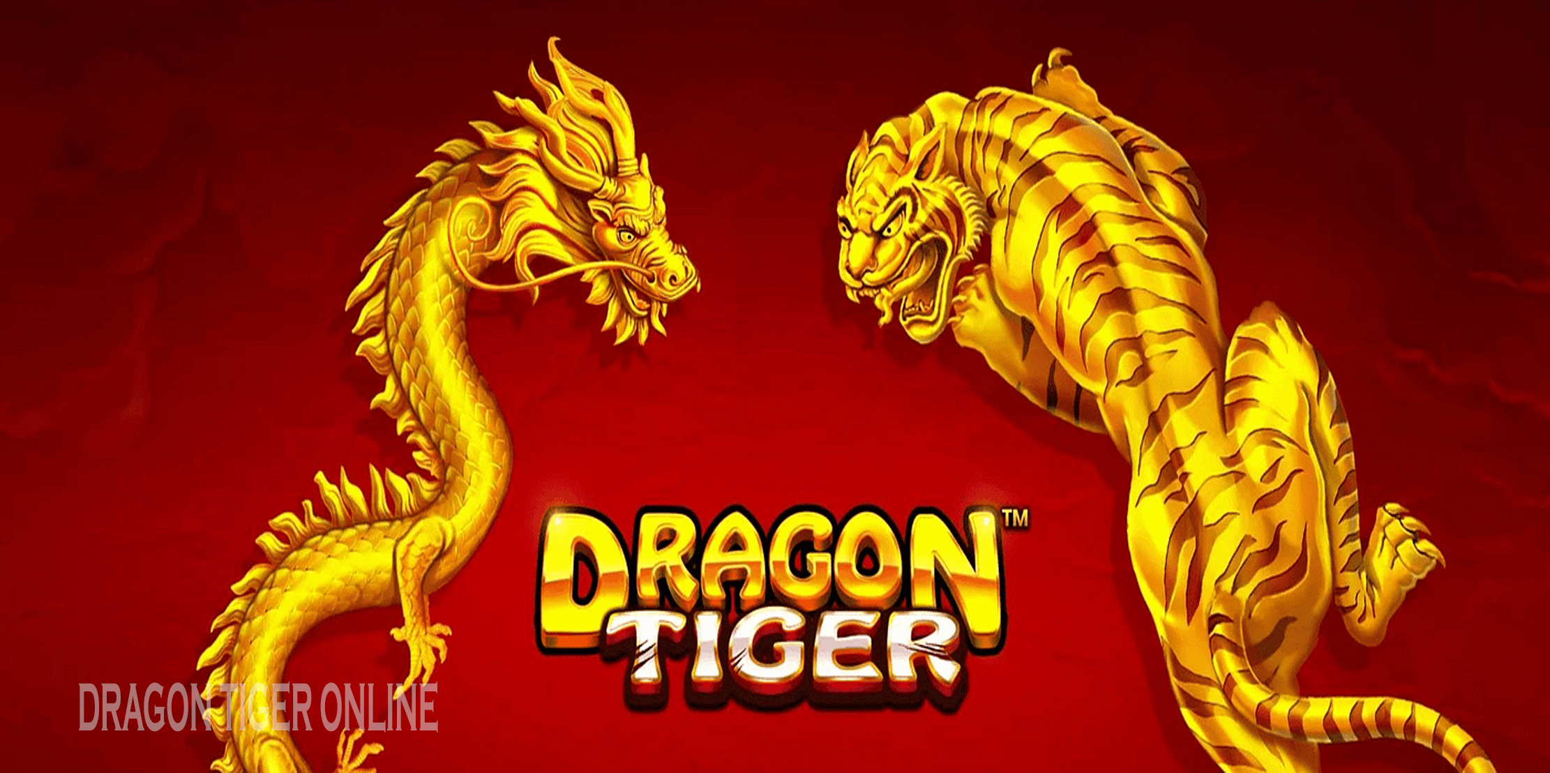 Dragon Tiger Online: Duel Singkat